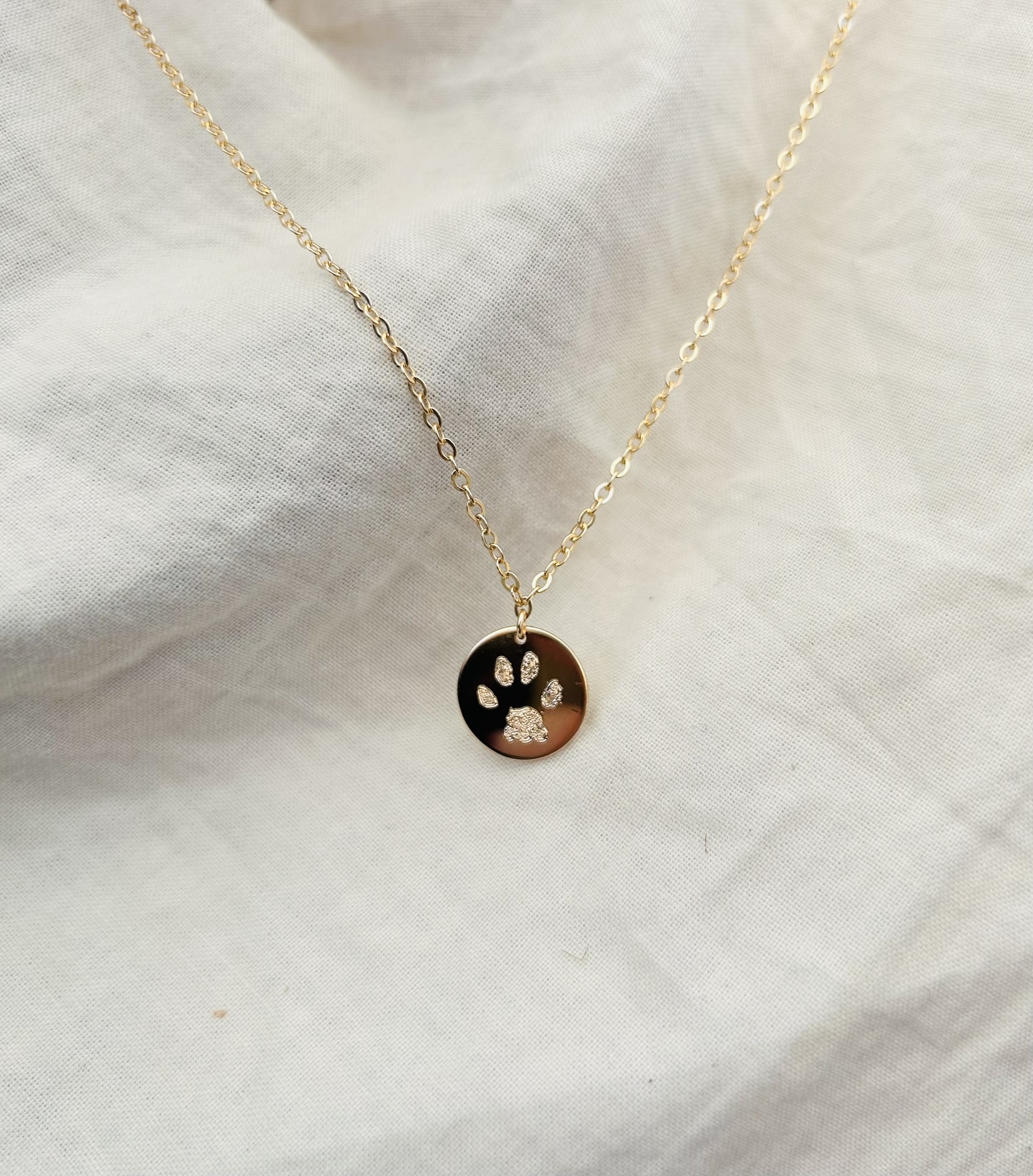 Coin ketting (14 karaat goud)